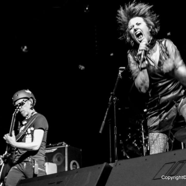 Gira de The Rezillos en España en 2016 y 2017