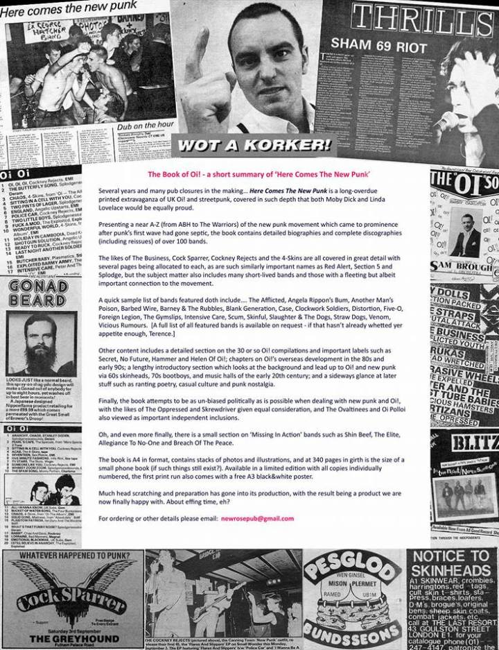 Here Comes the New Punk book