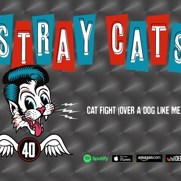 Stray Cats: "Cat Fight" (Over a Dog Like Me)", de su dico '40' (2019)