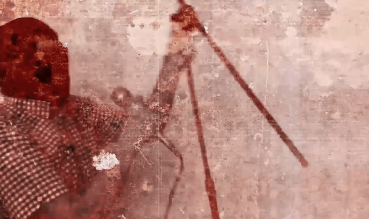 vídeo de "No Gust", primer tema de 'Social Upheaval', disco de debut de City Miles publicado por Rebellion Records (2019)