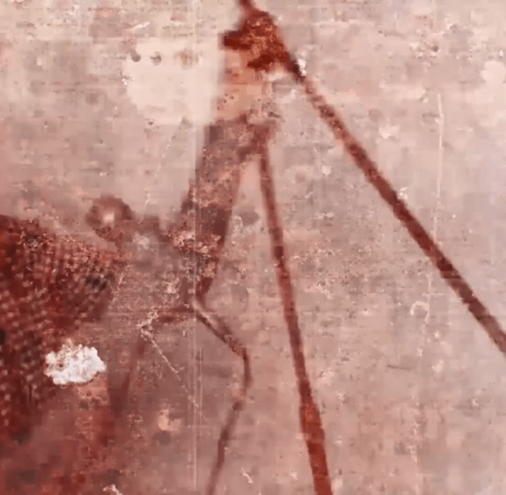 vídeo de "No Gust", primer tema de 'Social Upheaval', disco de debut de City Miles publicado por Rebellion Records (2019)