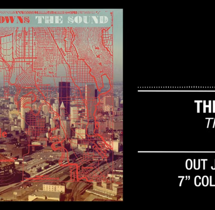 The Drowns: The Sound 7" [Pirates Press. 2019]