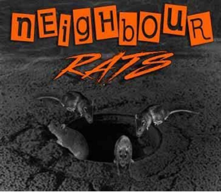 Neighbour Rats: Demo 2019