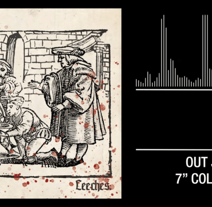 "Leeches" del 7" 'Leeches' de The Re-Volts, editado por Pirates Press en julio de 2019