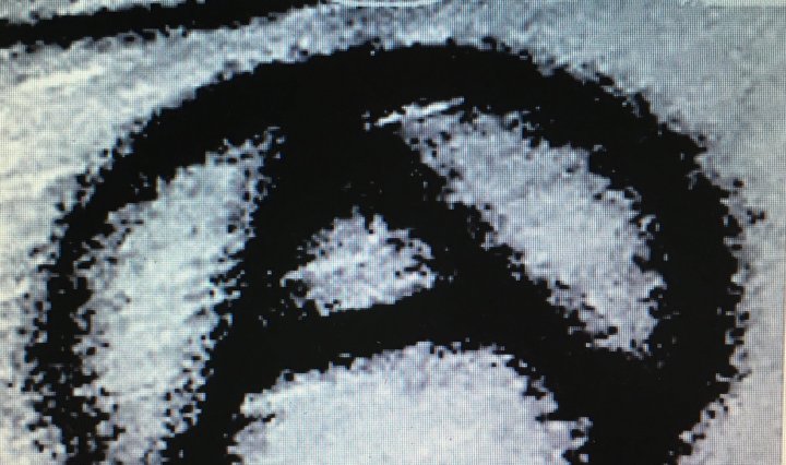 Abrazos: Belligerent and Numerous (2020)