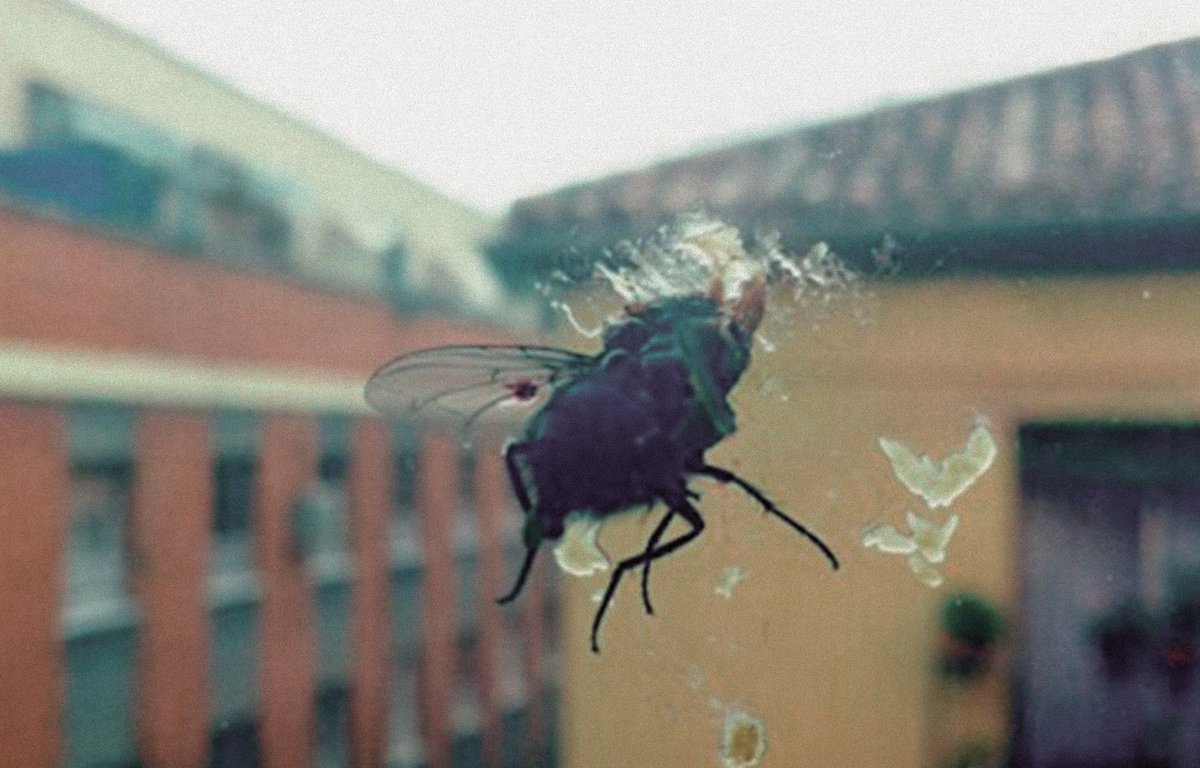 Portada de 'Gran Pantalla¡ de Biznaga, editado por Slovenly Recordings en marzo de 2020