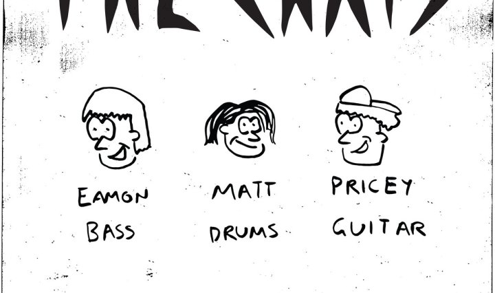 The Chats: Portada de su disco 'High Risk Behaviour' (2020)