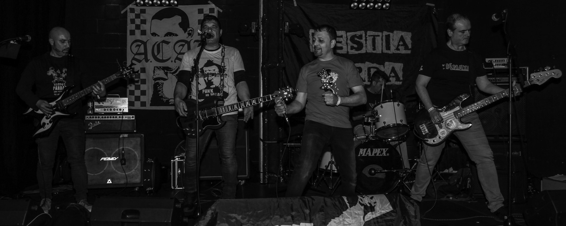 Bestia Parda: Grupo punk de Barcelona