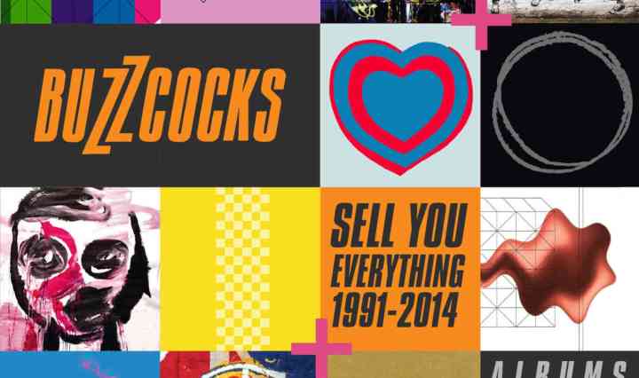 Buzzcocks: Sell You Everything (1991-2014) / The 1991 Demo Album [8CD Boxset/Black & White Vinyl LP]