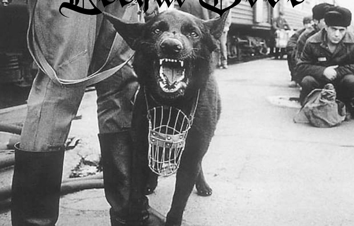 Portada de 'Blood On The Streets' de Lethal Dose (Offside Records, 2021)