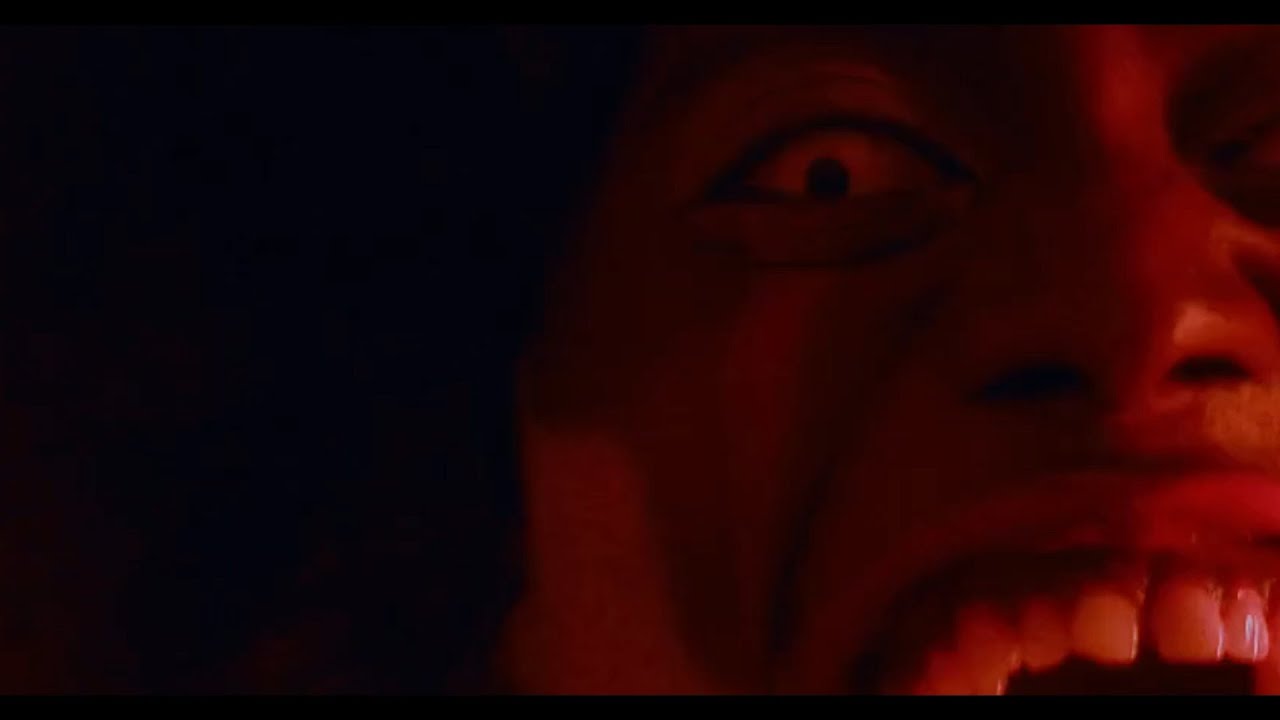 Vídeo con letra de la canción "Mente Animal", perteneciente al disco '"La Represión De La Ira' (2019) de Malavita