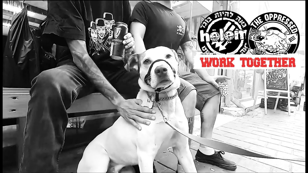 Helem junto a Roddy Moreno revisando "Work Together" de The Oppressed