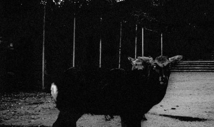 Portada del 7" 'Zaman Edan' de Sial, que será publicado el 1 de julio de 2021 por La Vida Es Un Mus