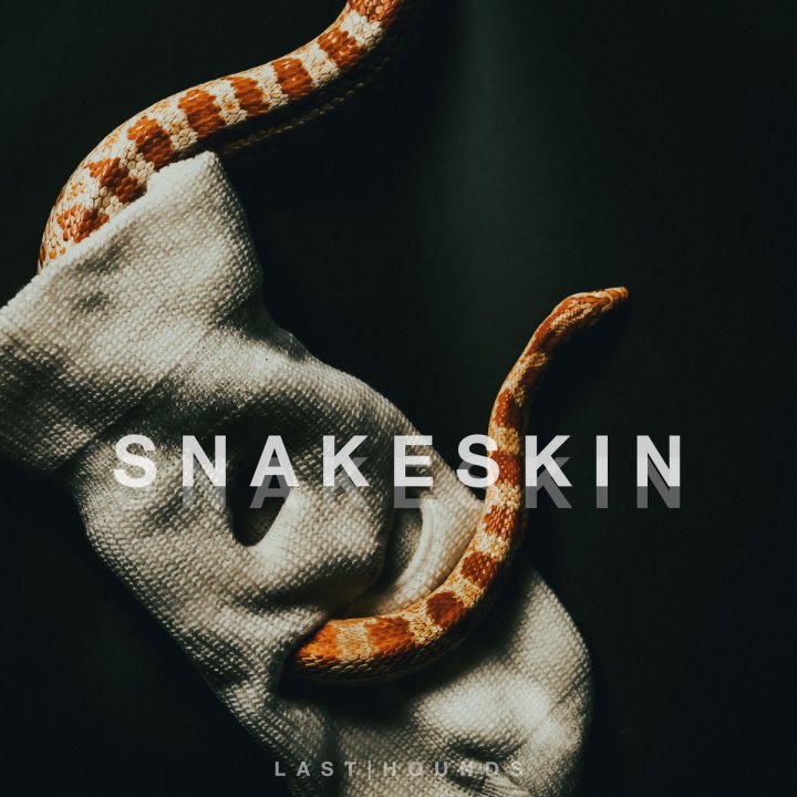 "Snakeskin", cuarto single de anticipo del disco de debut de Last Hounds: 'Burden' (Venn Records, 2021)