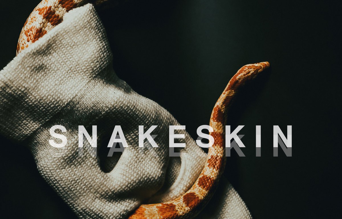 "Snakeskin", cuarto single de anticipo del disco de debut de Last Hounds: 'Burden' (Venn Records, 2021)