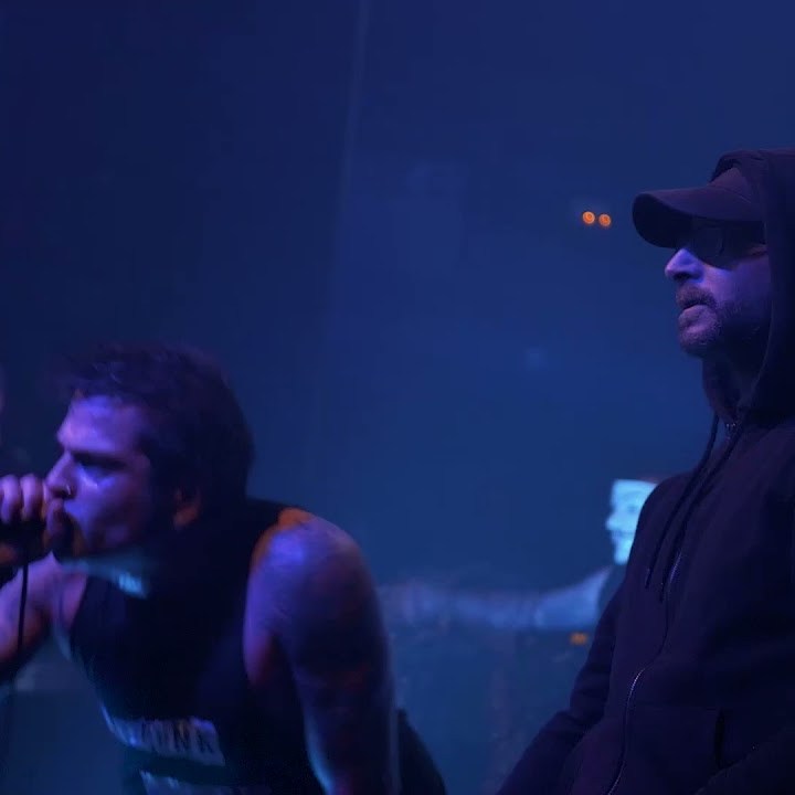 Vídeo oficial de "L.E.Y. (zuzenean)", incluido en el álbum "X Años de Sangre Y Moscas" (2021) con la colaboración de Titus [Radikal HC, Sanngre].