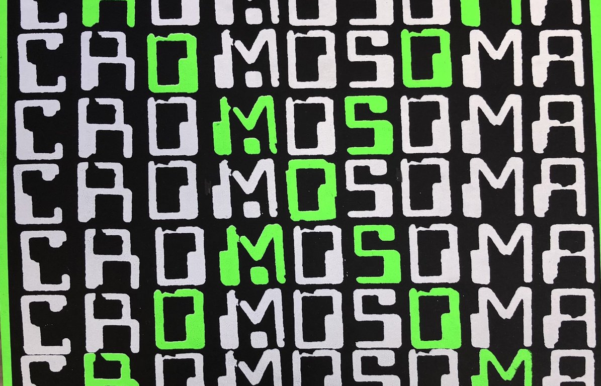 Portada de Cromosoma (2022)