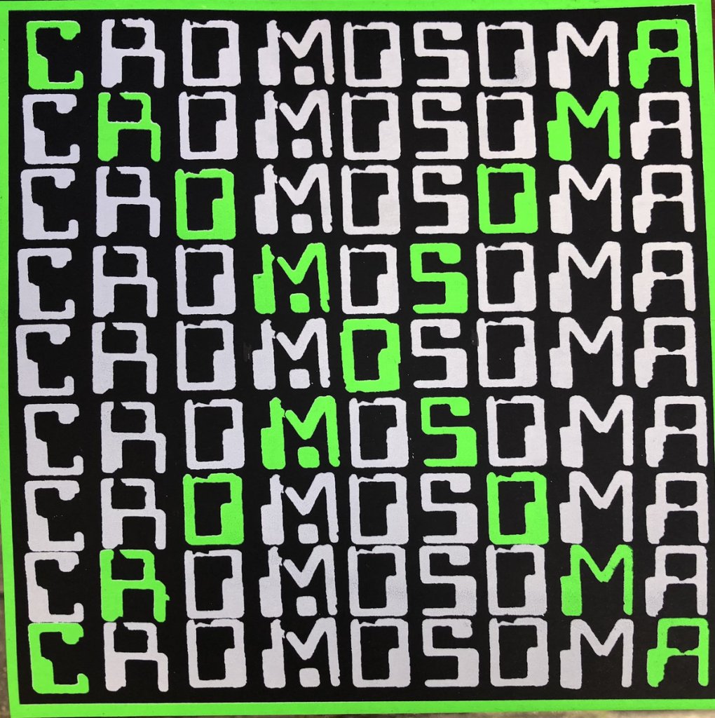 Portada de Cromosoma (2022)