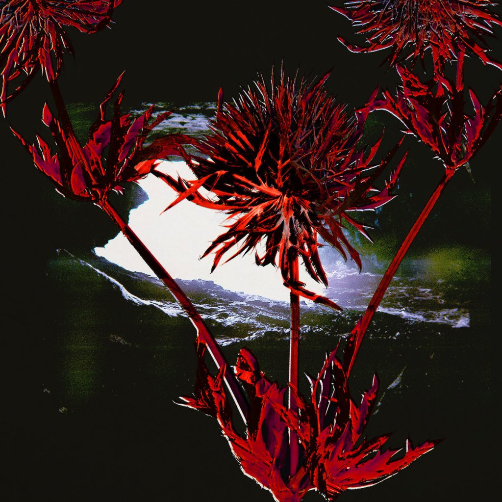 Portada del MLP 'Refugio transitorio' de Mausoleo (2022)