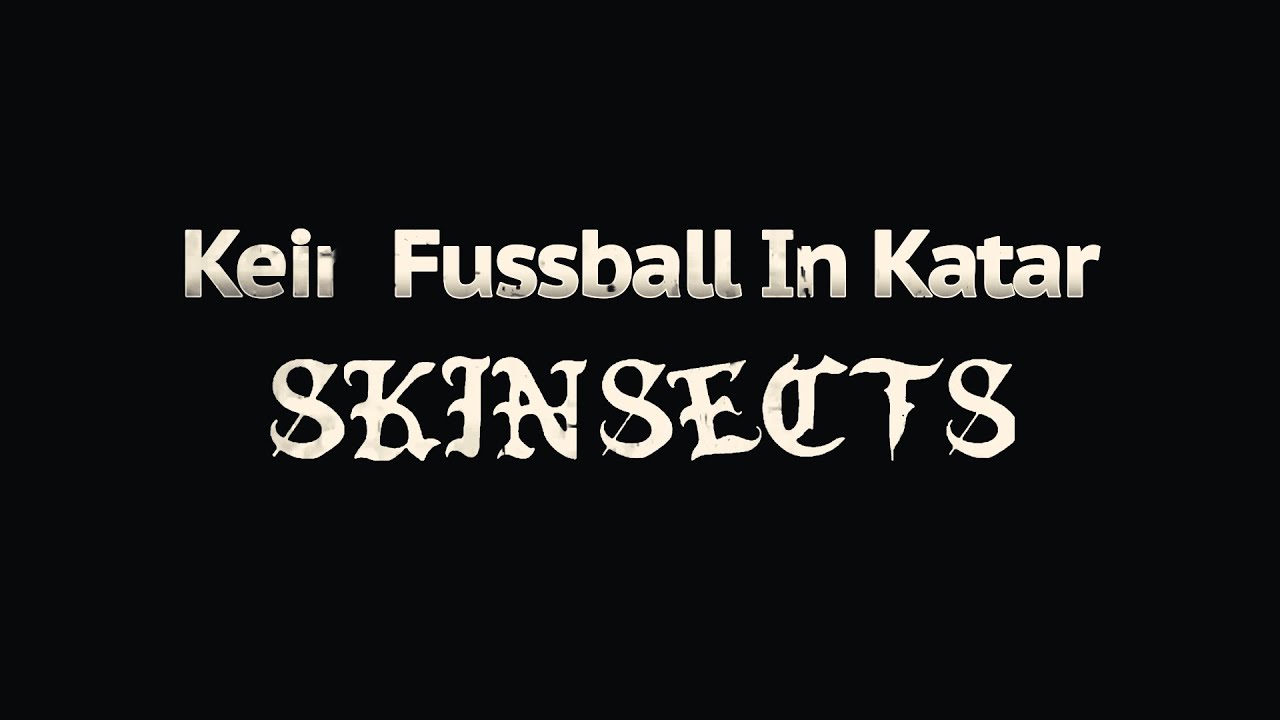Canción de "Kein Fussball In Katar" de Skinsects (2022)
