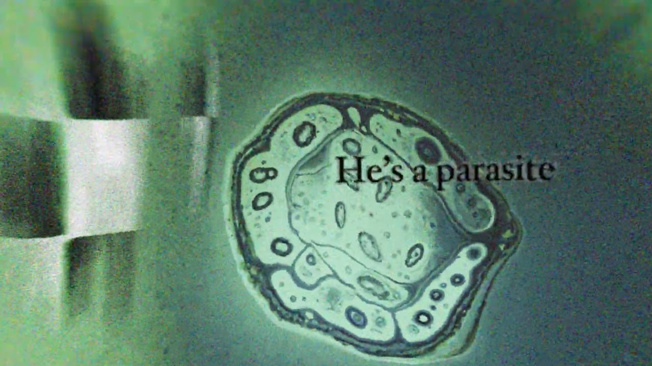 Vídeo de la canción "Parasite" de Frank Carter & The Rattlesnakes (2022)