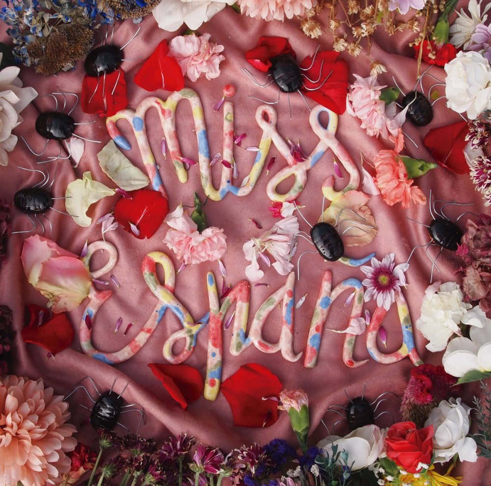 Portada de 'Niebla Mental' de Miss España (2023)